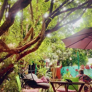 hostel-vague.allantalyahotels.org/